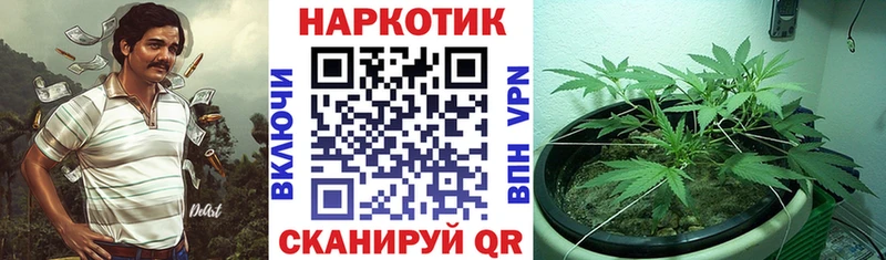 Наркошоп купить МАРИХУАНА  Лсд 25  Меф  Курчатов