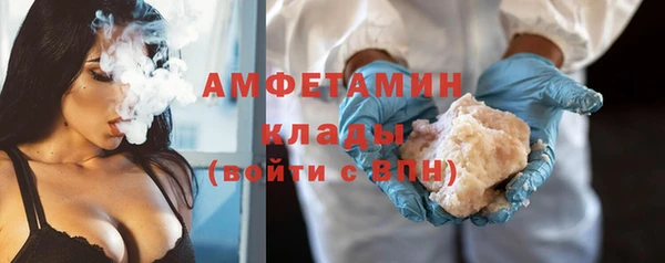 гидра Володарск