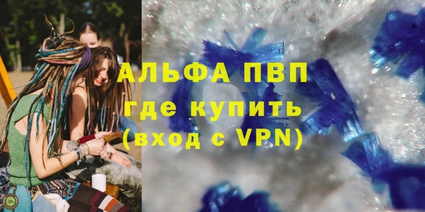 гидра Володарск