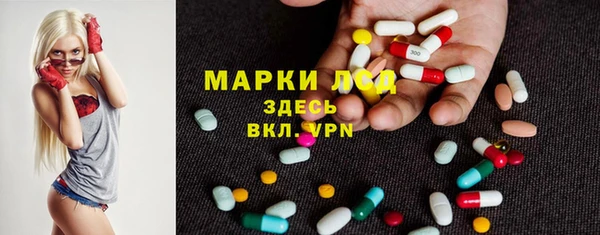 гидра Володарск
