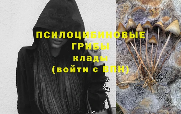 гидра Володарск