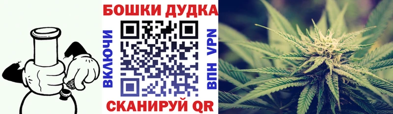Купить где  Курчатов  Шишки марихуана план 